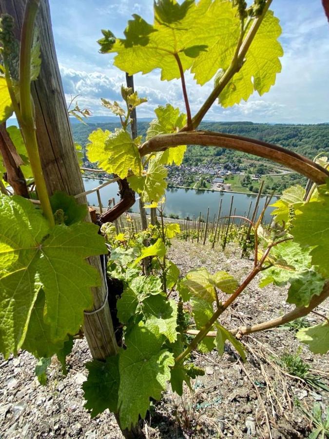 Ferienwohnung Mosel Бернкастель-Кюс Экстерьер фото